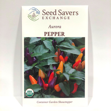 Aurora Pepper (Hot), Organic